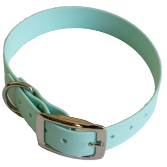Collier en biothane Pitchou turquoise taille L (25mm)