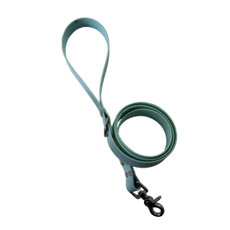 Laisse classique en biothane Pitchou turquoise taille M (1,50m x 25mm)