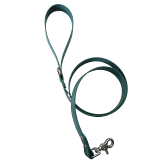 Laisse classique en biothane Pitchou vert chasseur taille S (1,10m x 25mm)