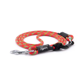 Laisse réglable easylong Tamer 2,5m pour grand chien